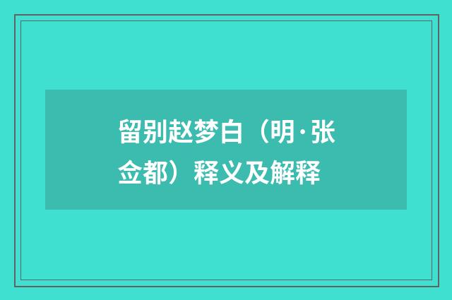 留别赵梦白（明·张佥都）释义及解释