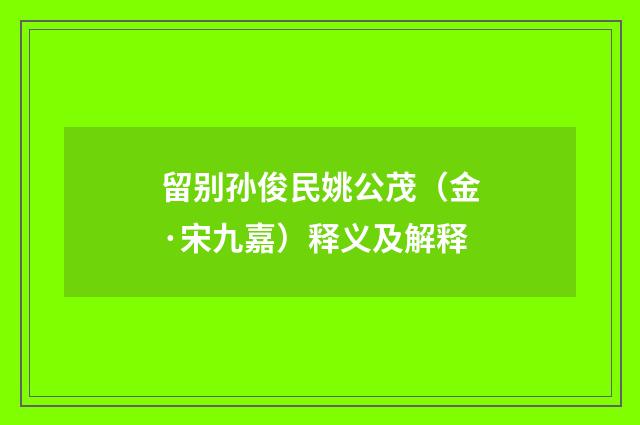 留别孙俊民姚公茂（金·宋九嘉）释义及解释