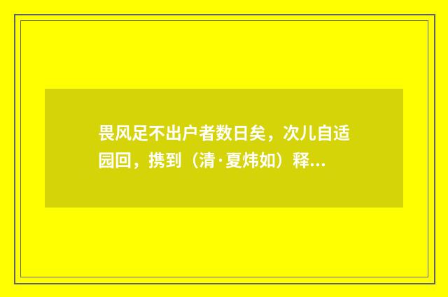 畏风足不出户者数日矣，次儿自适园回，携到（清·夏炜如）释义及解释