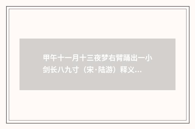 甲午十一月十三夜梦右臂踊出一小剑长八九寸（宋·陆游）释义及解释