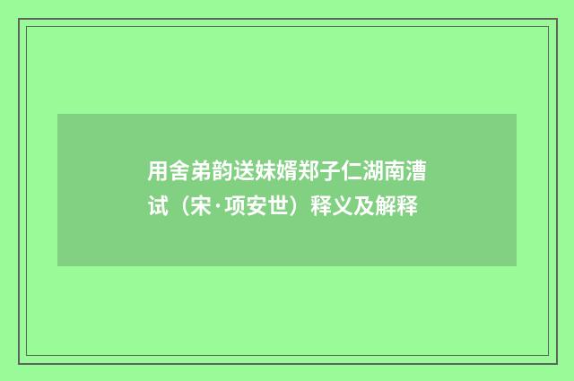 用舍弟韵送妹婿郑子仁湖南漕试（宋·项安世）释义及解释