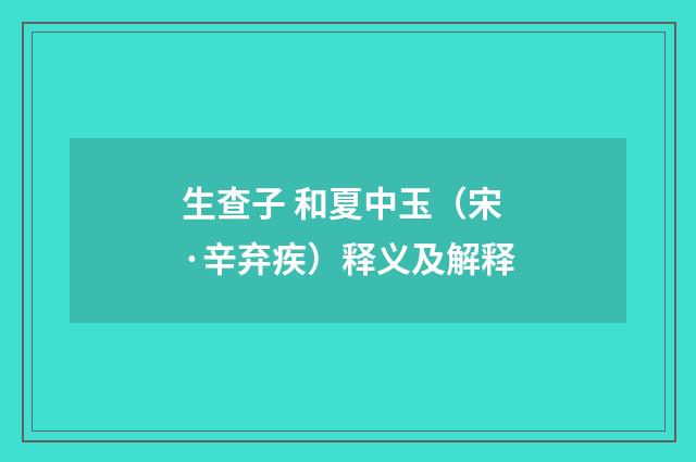 生查子 和夏中玉（宋·辛弃疾）释义及解释