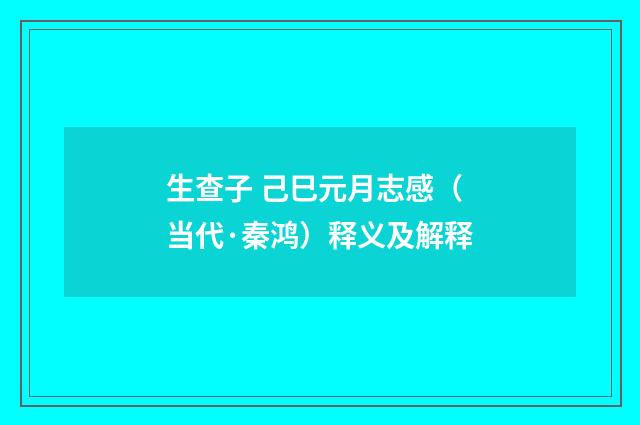 生查子 己巳元月志感（当代·秦鸿）释义及解释