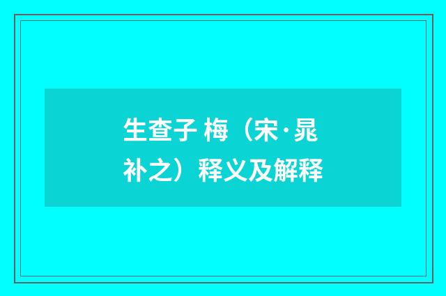 生查子 梅（宋·晁补之）释义及解释