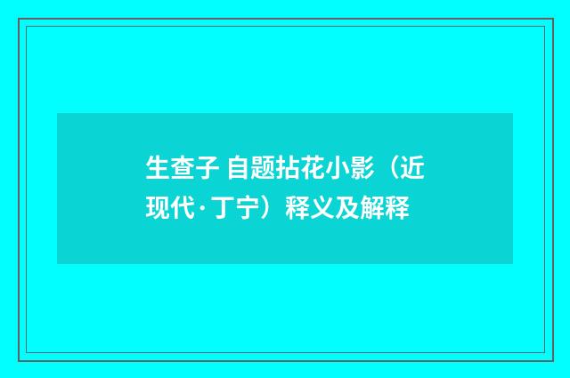 生查子 自题拈花小影（近现代·丁宁）释义及解释