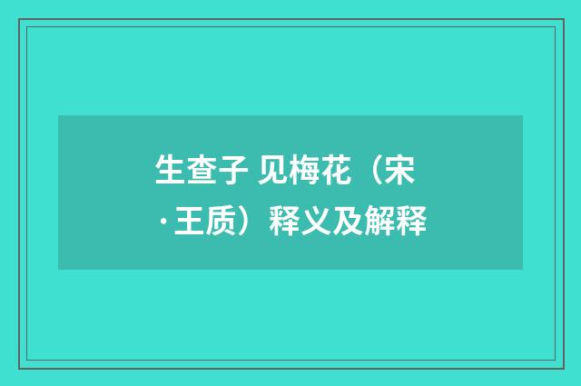 生查子 见梅花（宋·王质）释义及解释
