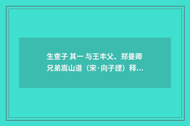 生查子 其一 与王丰父、郑曼卿兄弟嵩山道（宋·向子諲）释义及解释