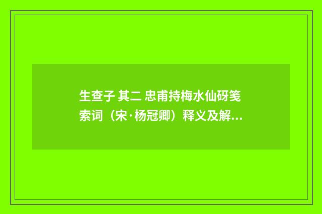 生查子 其二 忠甫持梅水仙砑笺索词（宋·杨冠卿）释义及解释