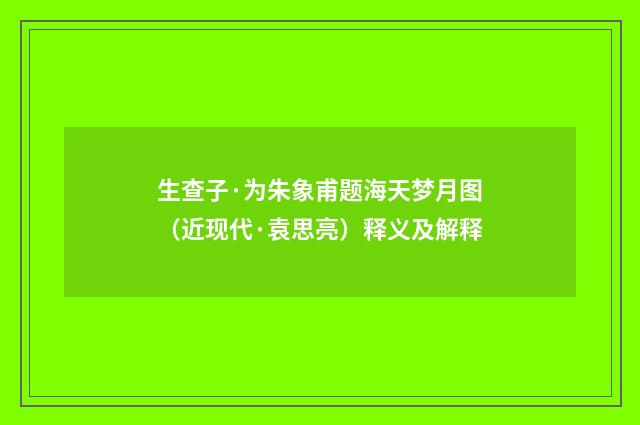 生查子·为朱象甫题海天梦月图（近现代·袁思亮）释义及解释