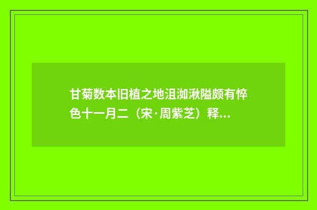 甘菊数本旧植之地沮洳湫隘颇有悴色十一月二（宋·周紫芝）释义及解释