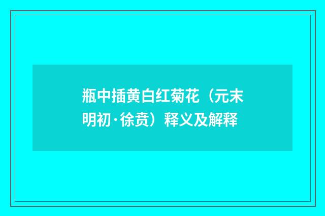 瓶中插黄白红菊花（元末明初·徐贲）释义及解释