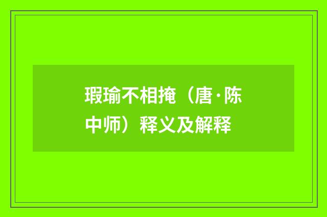 瑕瑜不相掩（唐·陈中师）释义及解释
