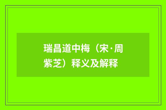 瑞昌道中梅（宋·周紫芝）释义及解释