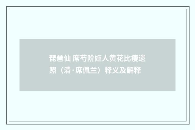 琵琶仙 席芍阶姬人黄花比瘦遗照（清·席佩兰）释义及解释