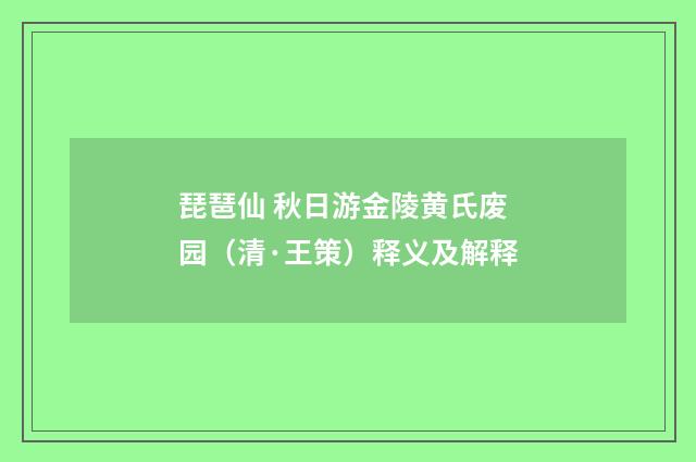 琵琶仙 秋日游金陵黄氏废园（清·王策）释义及解释