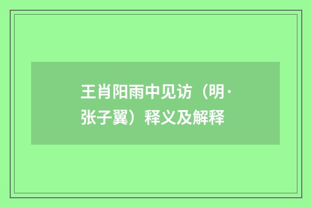 王肖阳雨中见访（明·张子翼）释义及解释