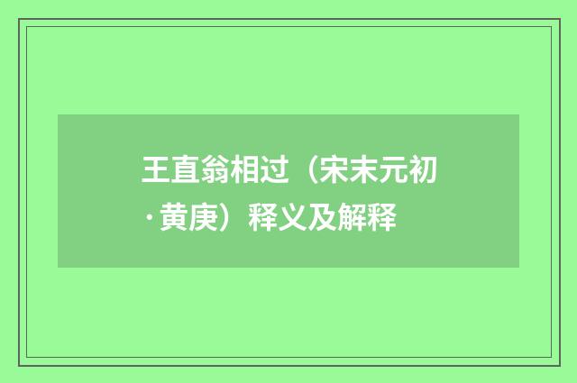 王直翁相过（宋末元初·黄庚）释义及解释