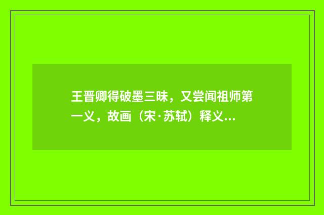 王晋卿得破墨三昧，又尝闻祖师第一义，故画（宋·苏轼）释义及解释