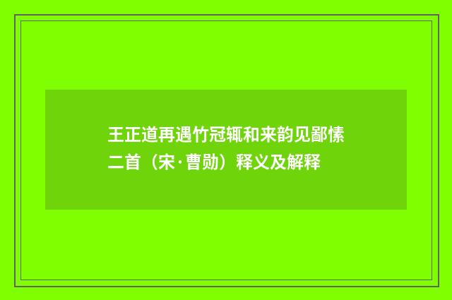 王正道再遇竹冠辄和来韵见鄙愫二首（宋·曹勋）释义及解释