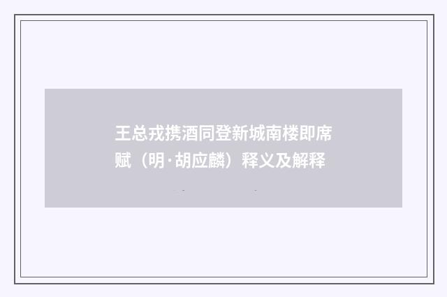 王总戎携酒同登新城南楼即席赋（明·胡应麟）释义及解释
