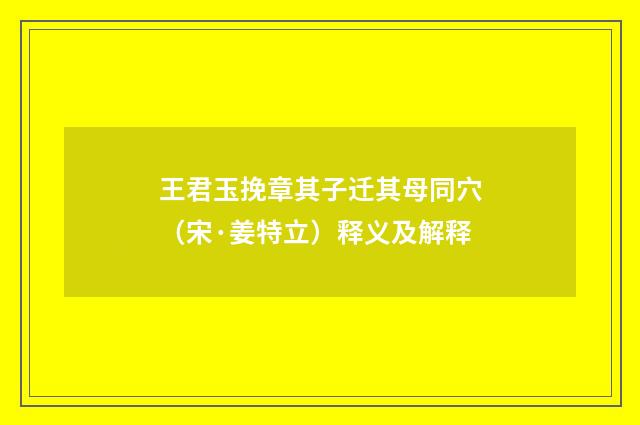 王君玉挽章其子迁其母同穴（宋·姜特立）释义及解释