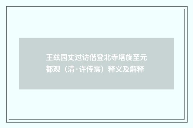 王兹园丈过访偕登北寺塔旋至元都观（清·许传霈）释义及解释
