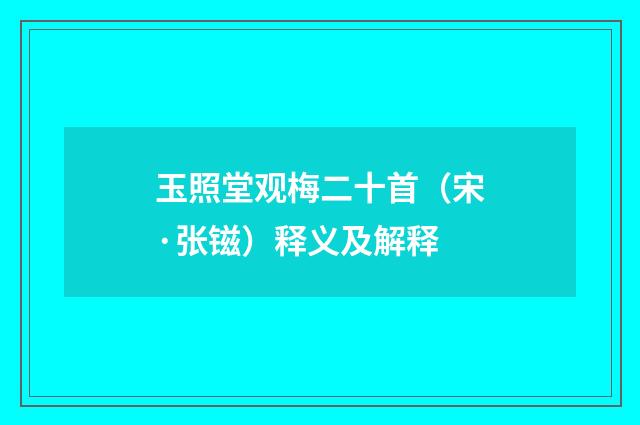 玉照堂观梅二十首（宋·张镃）释义及解释