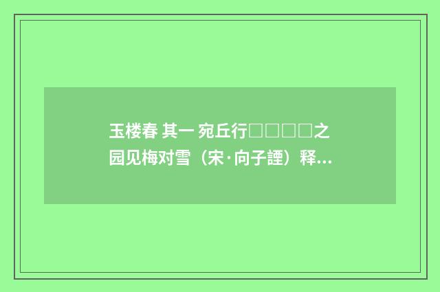 玉楼春 其一 宛丘行□□□□之园见梅对雪（宋·向子諲）释义及解释