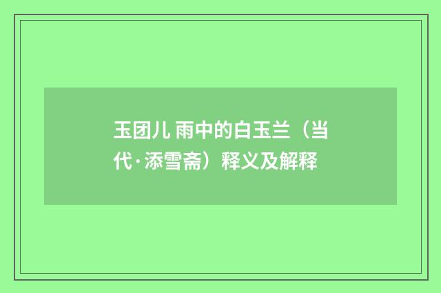 玉团儿 雨中的白玉兰（当代·添雪斋）释义及解释