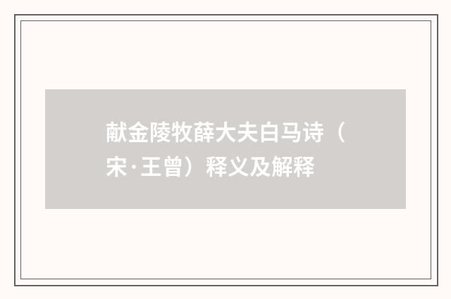 献金陵牧薛大夫白马诗（宋·王曾）释义及解释