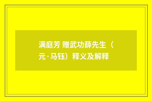 满庭芳 赠武功薛先生（元·马钰）释义及解释