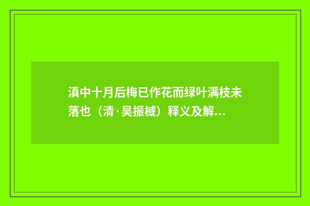 滇中十月后梅已作花而绿叶满枝未落也（清·吴振棫）释义及解释