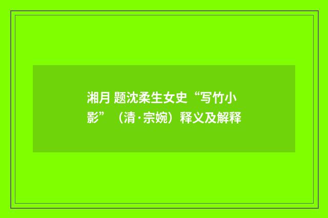 湘月 题沈柔生女史“写竹小影”（清·宗婉）释义及解释