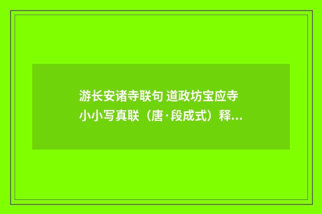 游长安诸寺联句 道政坊宝应寺 小小写真联（唐·段成式）释义及解释