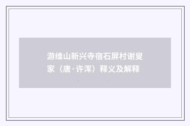 游维山新兴寺宿石屏村谢叟家（唐·许浑）释义及解释