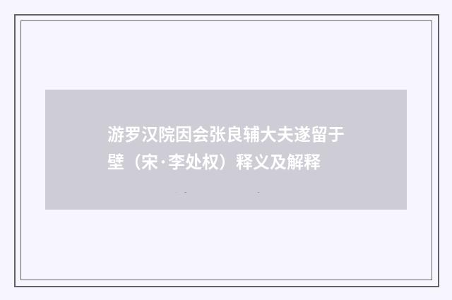 游罗汉院因会张良辅大夫遂留于壁（宋·李处权）释义及解释