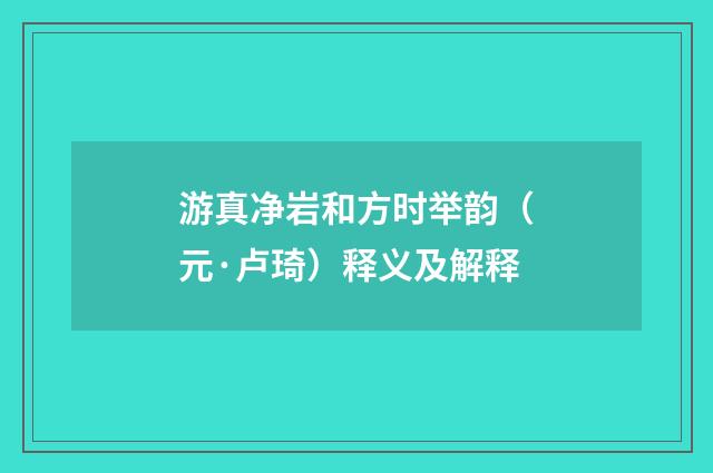 游真净岩和方时举韵（元·卢琦）释义及解释