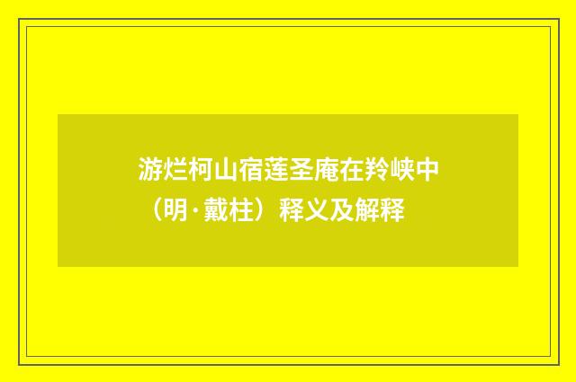 游烂柯山宿莲圣庵在羚峡中（明·戴柱）释义及解释