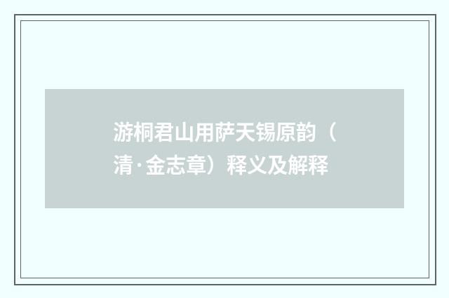 游桐君山用萨天锡原韵（清·金志章）释义及解释