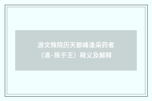 游文殊院历天都峰逢采药者（清·陈于王）释义及解释