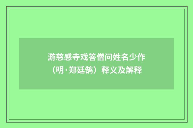 游慈感寺戏答僧问姓名少作（明·郑廷鹄）释义及解释