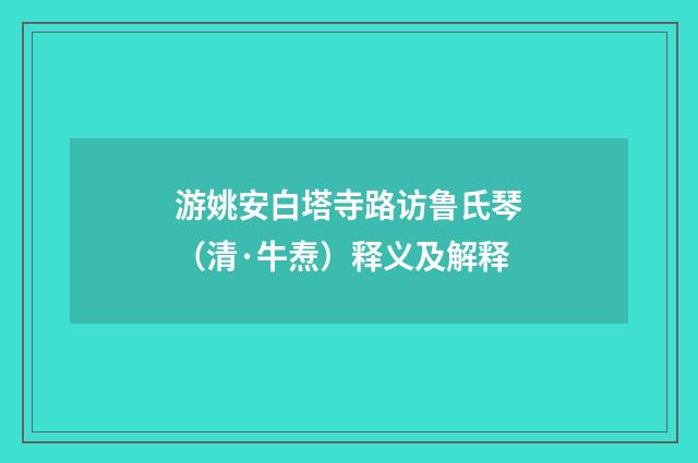 游姚安白塔寺路访鲁氏琴（清·牛焘）释义及解释