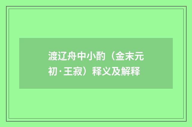 渡辽舟中小酌（金末元初·王寂）释义及解释