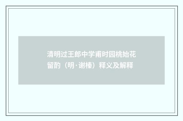 清明过王郎中学甫时园桃始花留酌（明·谢榛）释义及解释