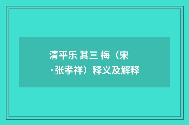 清平乐 其三 梅（宋·张孝祥）释义及解释