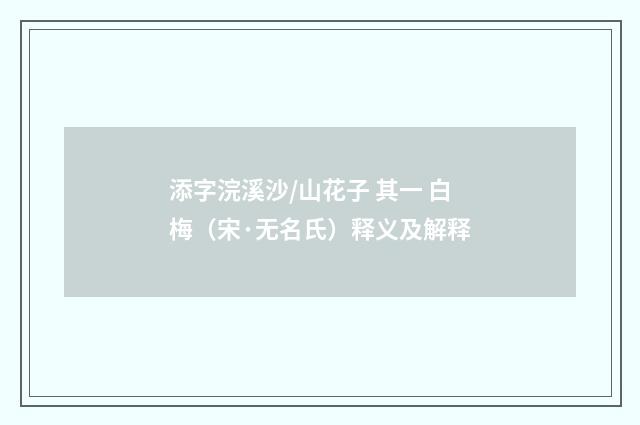 添字浣溪沙/山花子 其一 白梅（宋·无名氏）释义及解释