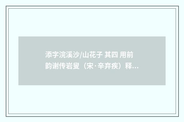 添字浣溪沙/山花子 其四 用前韵谢传岩叟（宋·辛弃疾）释义及解释