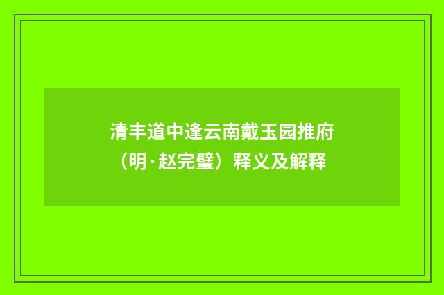 清丰道中逢云南戴玉园推府（明·赵完璧）释义及解释