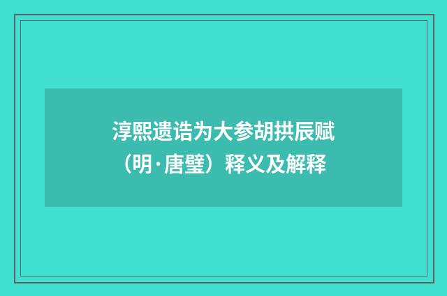 淳熙遗诰为大参胡拱辰赋（明·唐璧）释义及解释