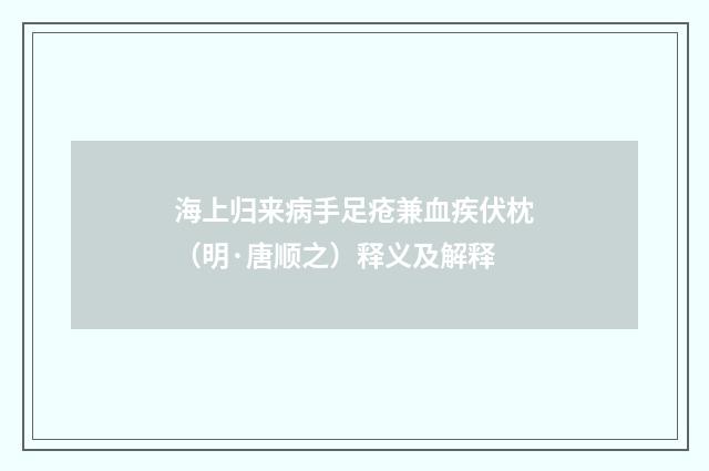 海上归来病手足疮兼血疾伏枕（明·唐顺之）释义及解释